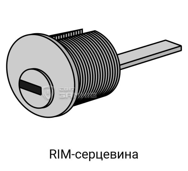 Серцевина