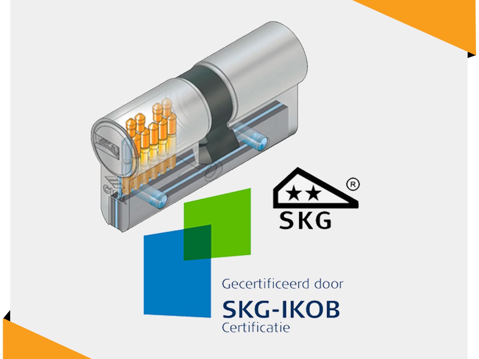 Сертифікат SKG для серцевин: що це та звідки береться?