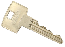 ABUS S60P.png