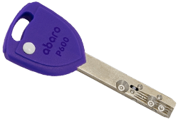 Abaro P600.png