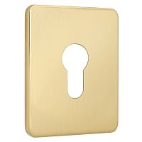 Накладка на серцевину AZZI FAUSTO MY/TEKNO/O прямокутна латунь полірована