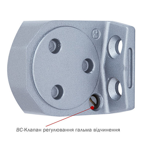 Дотягувач RYOBI DS-2055V BC STD HO з фіксацією до 100кг Сірий - Фото №7