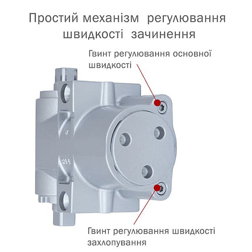 Дотягувач RYOBI DS-4550T BC/DA SLD HO з фіксацією до 80кг Сірий - Фото №6