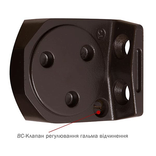 Дотягувач RYOBI DS-2005V BC STD HO з фіксацією до 100кг Коричневий - Фото №7