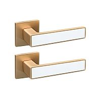Ручки на розетте GAVROCHE Nikel Ni-Z25 SB/W золото/белый