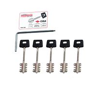 Набор для перекодировки замков CISA 06520.51.1 5 коротких ключей