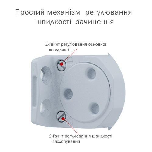 Дотягувач RYOBI DS-1504 STD HO з фіксацією до 80кг Сірий - Фото №6