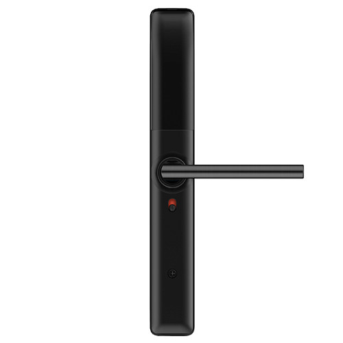 Розумний замок PES Bigl накладний чорний - Фото №2