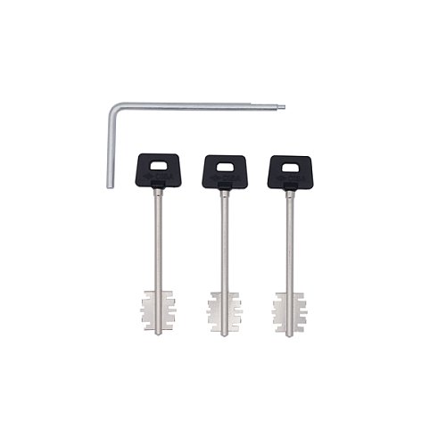 Набір для перекодування замків CISA 06520.60.1 3 довгих ключа - Фото №1