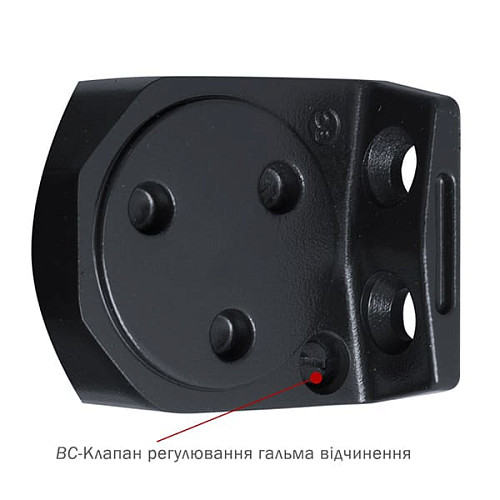 Дотягувач RYOBI DS-2055P BC PRL HO з фіксацією до 80кг Сірий Антрацит - Фото №7