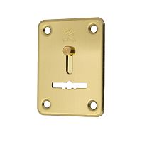 Декоративная накладка CISA 06081.00 (внутренняя) латунь полированная