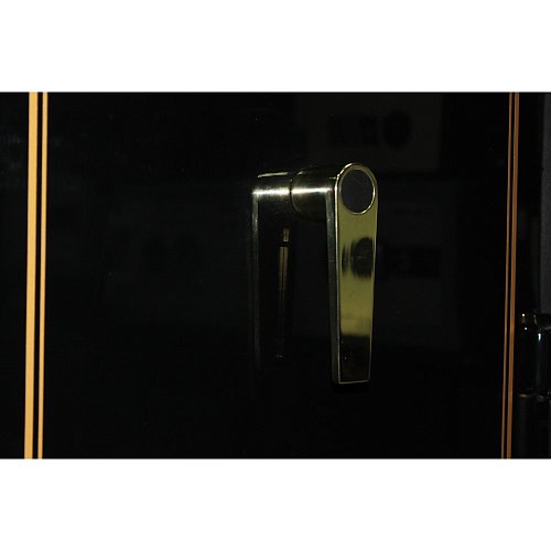 Сейф для зброї GRIFFON G.160.GLOSS GOLD.E - Фото №8