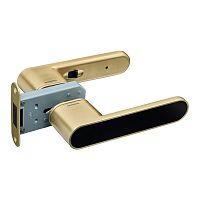 Ручка-защелка GAVROCHE GRclick (BS60мм) магнитная сатиновое золото/черный