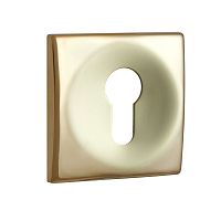 Декоративная накладка DISEC KT3796 латунь PVD