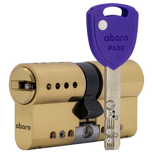 Циліндр ABARO P600 (модульний) 77 (31*46) G латунь полірована 5 ключів - Фото №1