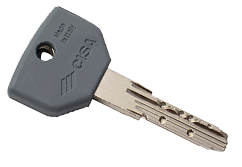 CISA ASIX P8.png CISA ASIX P8.png