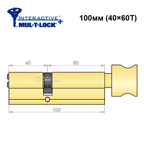 Цилиндр MUL-T-LOCK MTL600/Interactive+ 100T (40*60T) латунь - Фото №6